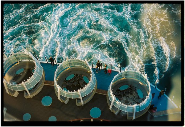 Welche Aktivitäten passen am besten zu verschiedenen Hunderassen?